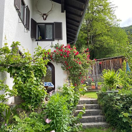 Ferienwohnung Laimer, Radau 37 Saint Wolfgang Dış mekan fotoğraf