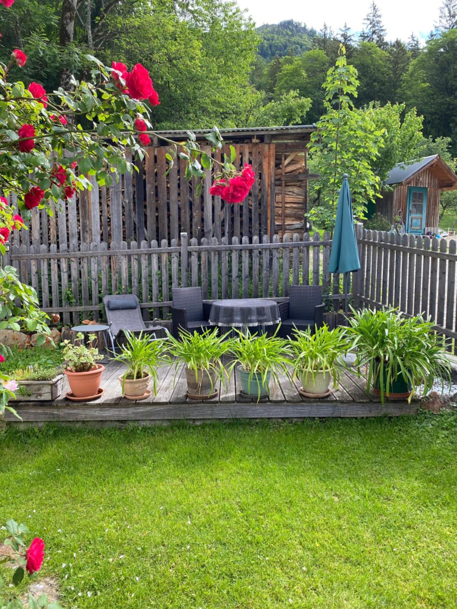 Ferienwohnung Laimer, Radau 37 Saint Wolfgang Dış mekan fotoğraf
