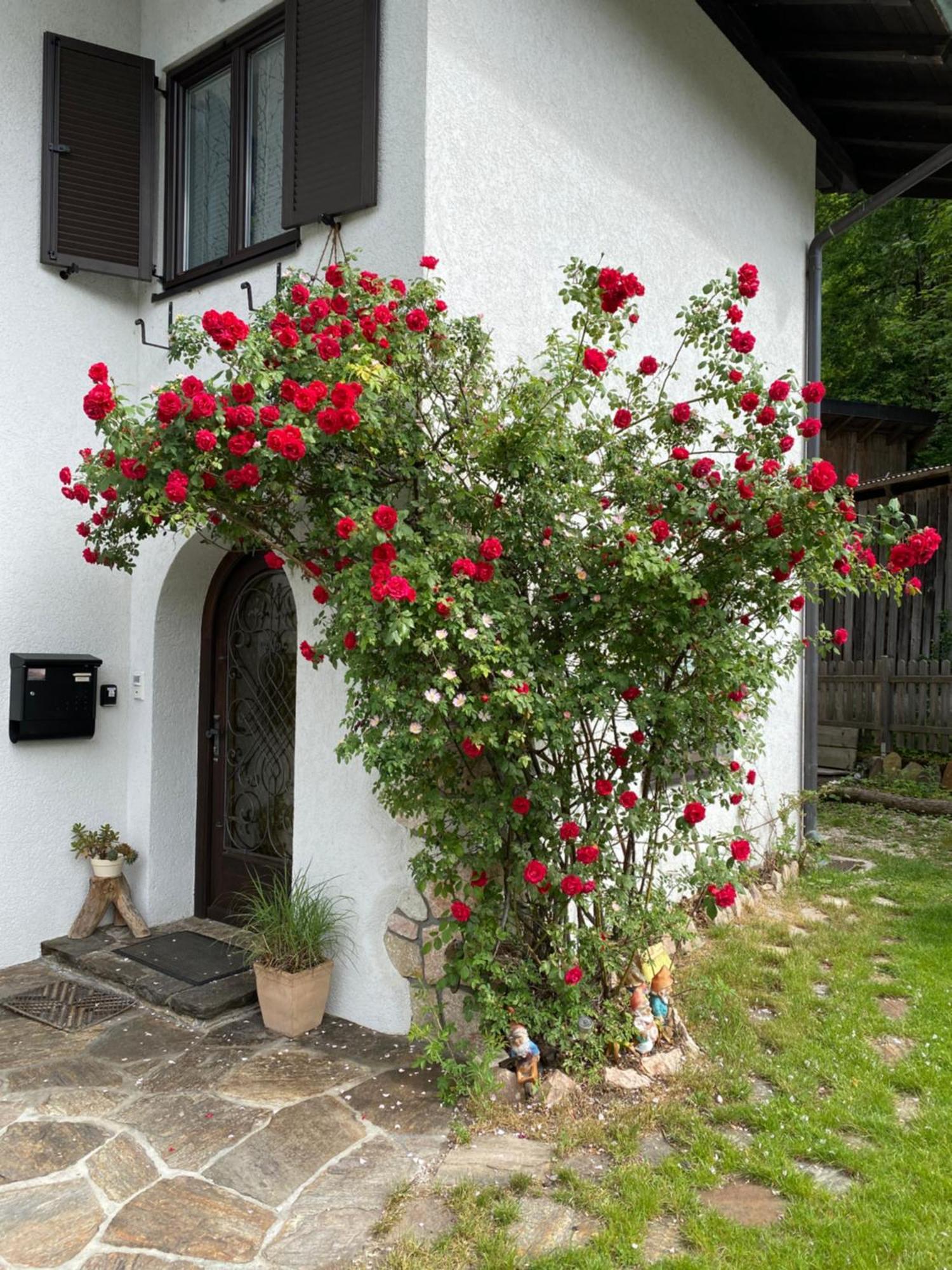 Ferienwohnung Laimer, Radau 37 Saint Wolfgang Dış mekan fotoğraf